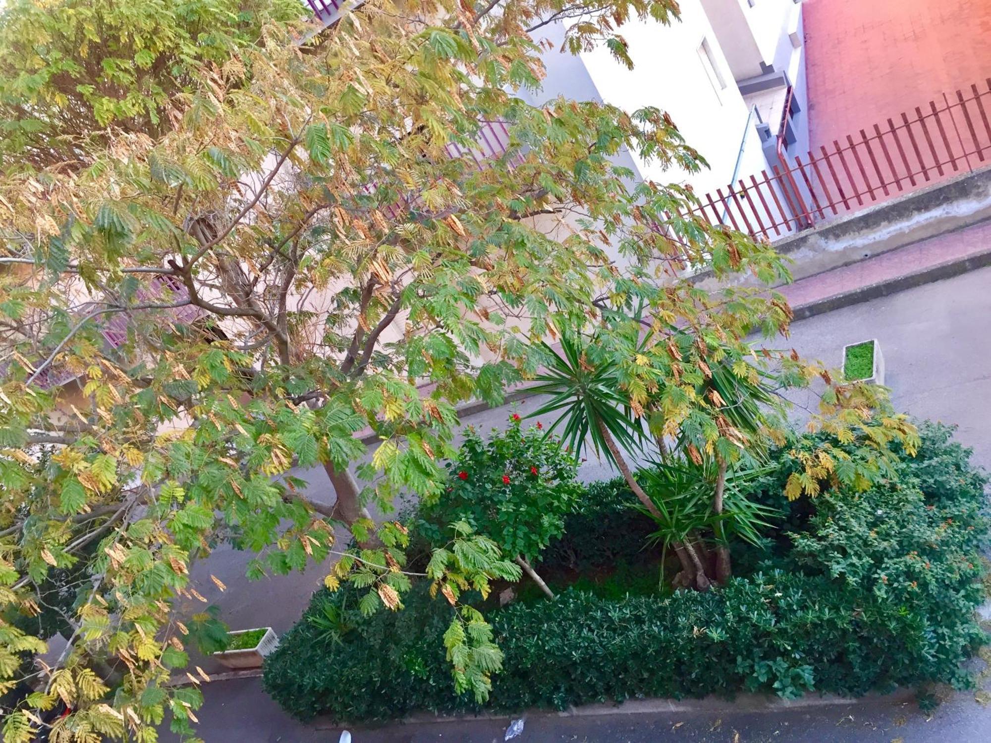 Casa Cristina Apartment Comiso Exterior photo